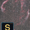 StarXTerminator